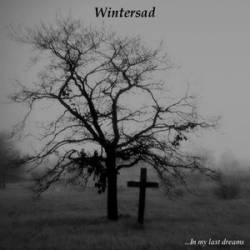 Wintersad : ...In My Last Dreams